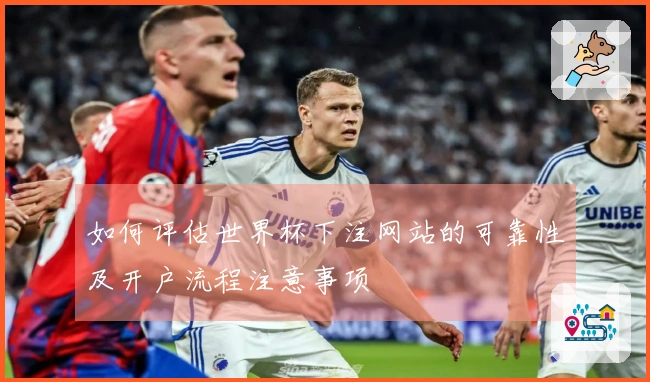 如何评估世界杯下注网站的可靠性及开户流程注意事项
