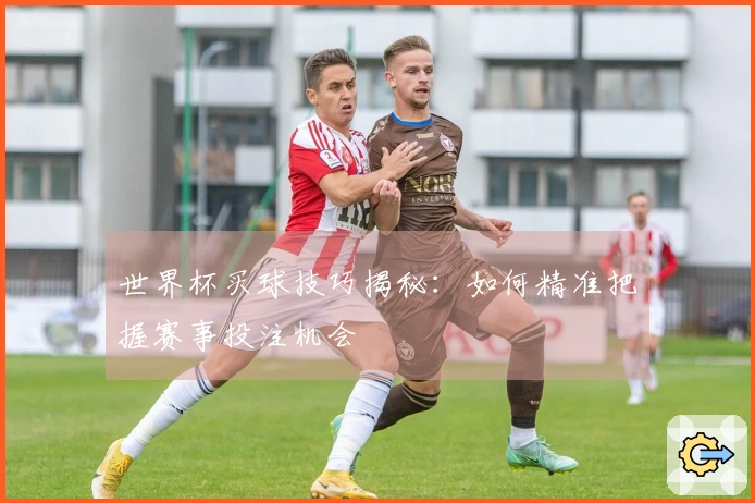 世界杯买球技巧揭秘：如何精准把握赛事投注机会
