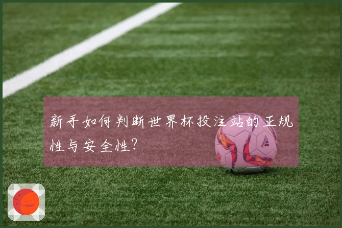 新手如何判断世界杯投注站的正规性与安全性？