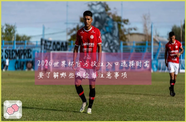 2026世界杯官方投注入口选择时需要了解哪些风险与注意事项