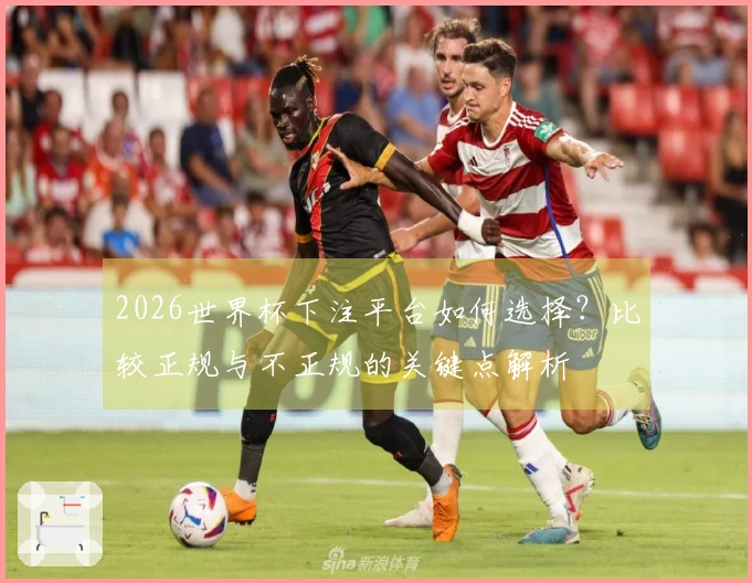 2026世界杯下注平台如何选择？比较正规与不正规的关键点解析