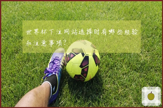 世界杯下注网站选择时有哪些经验和注意事项？