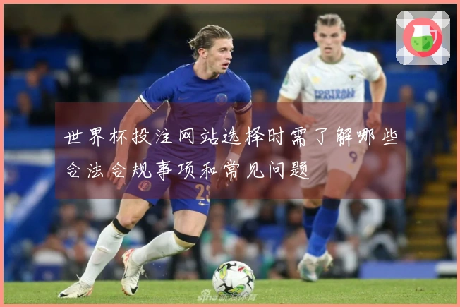 世界杯投注网站选择时需了解哪些合法合规事项和常见问题