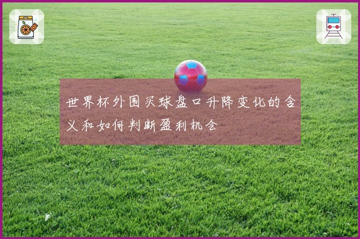 世界杯外围买球盘口升降变化的含义和如何判断盈利机会