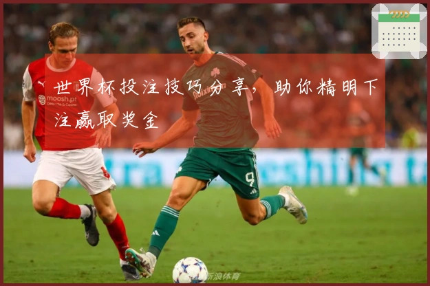 世界杯投注技巧分享，助你精明下注赢取奖金