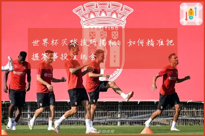 世界杯买球技巧揭秘：如何精准把握赛事投注机会