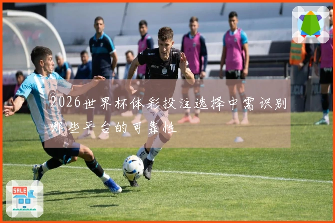 2026世界杯体彩投注选择中需识别哪些平台的可靠性