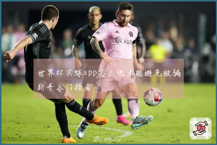 世界杯买球app怎么玩才能避免被骗新手入门指南