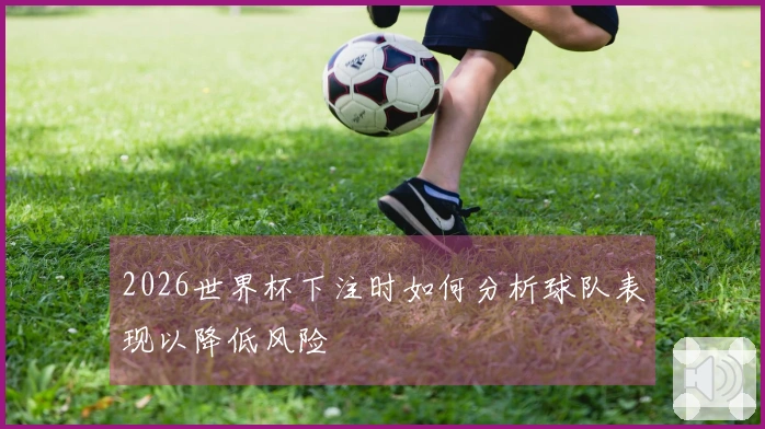 2026世界杯下注时如何分析球队表现以降低风险