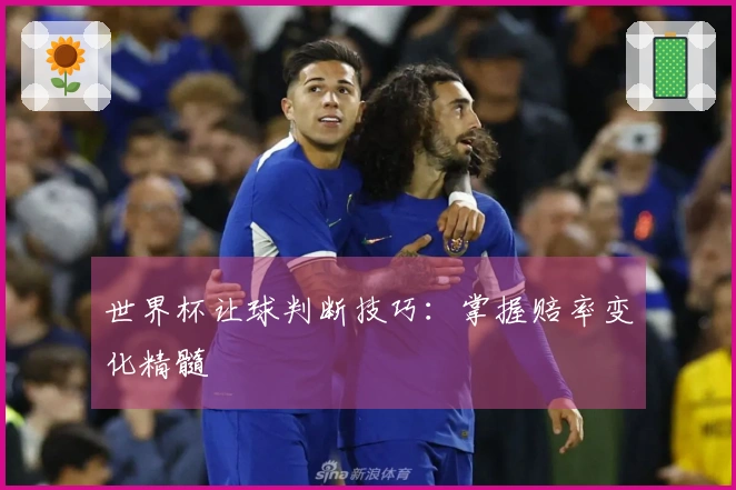 世界杯让球判断技巧：掌握赔率变化精髓