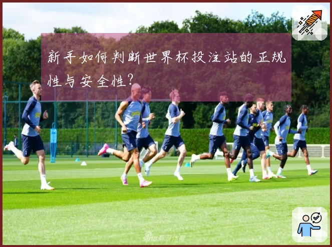新手如何判断世界杯投注站的正规性与安全性？