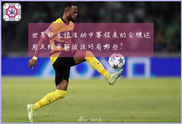 世界杯竞猜活动中赛程表的合理运用及赔率解读技巧有哪些？