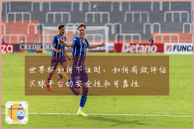 世界杯如何下注时，如何有效评估买球平台的安全性和可靠性