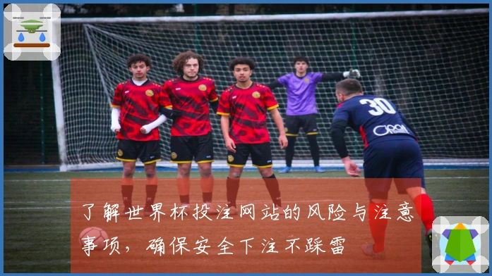 了解世界杯投注网站的风险与注意事项，确保安全下注不踩雷