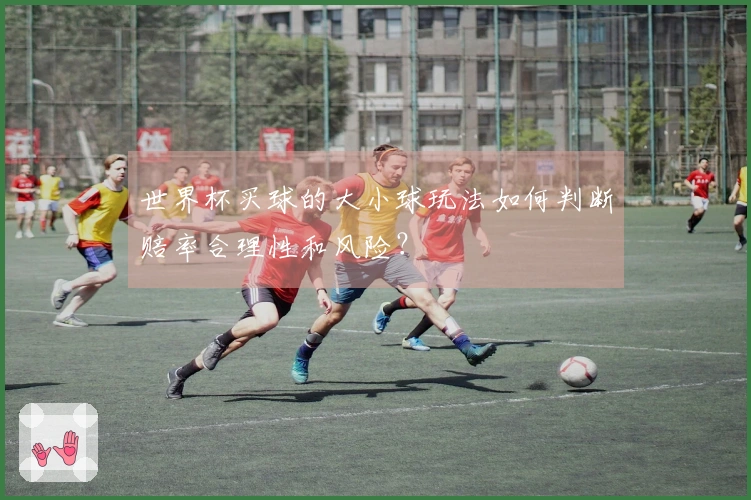 世界杯买球的大小球玩法如何判断赔率合理性和风险?