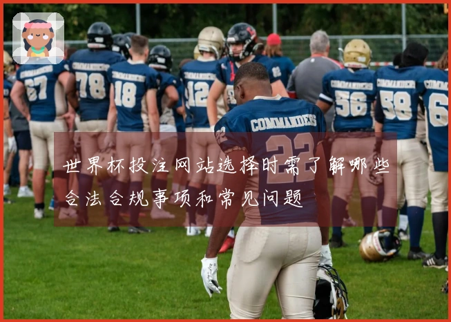 世界杯投注网站选择时需了解哪些合法合规事项和常见问题