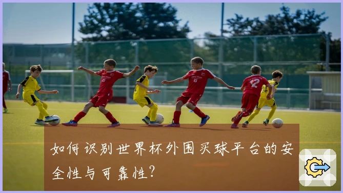 如何识别世界杯外围买球平台的安全性与可靠性？