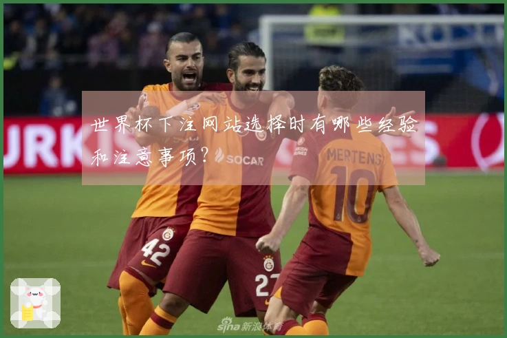 世界杯下注网站选择时有哪些经验和注意事项?