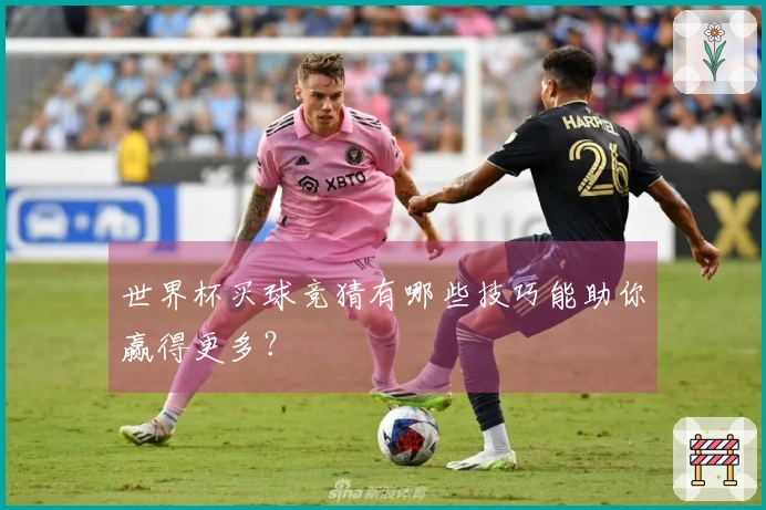 世界杯买球竞猜有哪些技巧能助你赢得更多？