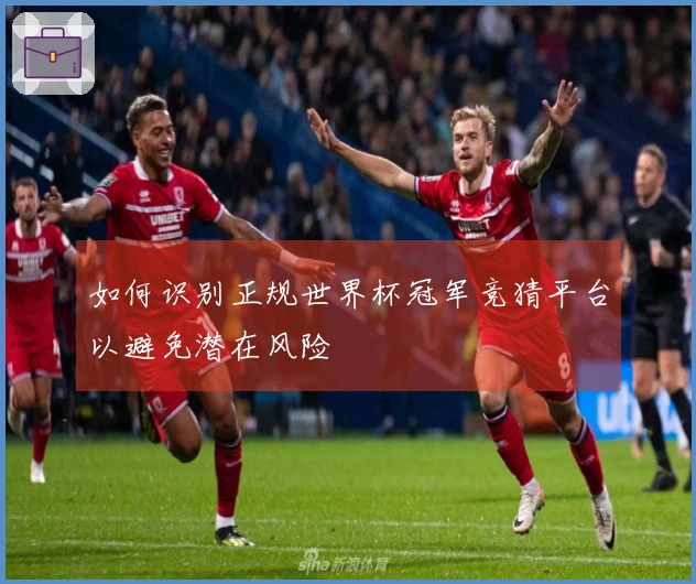 如何识别正规世界杯冠军竞猜平台以避免潜在风险