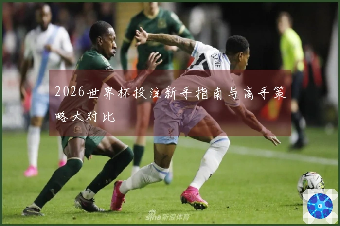 2026世界杯投注新手指南与高手策略大对比