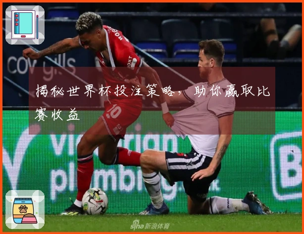 揭秘世界杯投注策略，助你赢取比赛收益