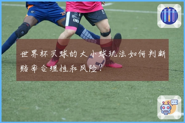 世界杯买球的大小球玩法如何判断赔率合理性和风险？