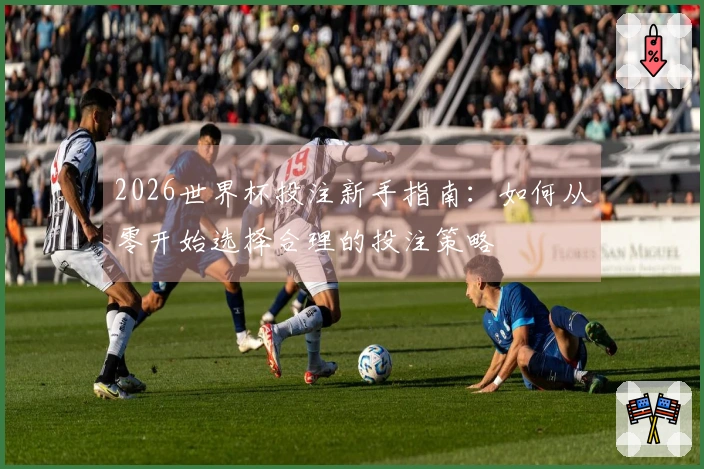 2026世界杯投注新手指南：如何从零开始选择合理的投注策略
