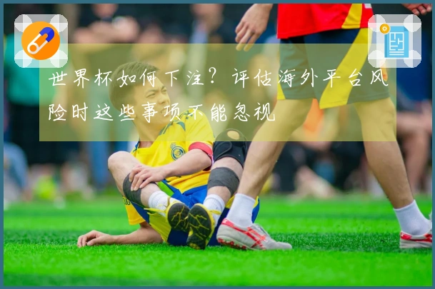 世界杯如何下注？评估海外平台风险时这些事项不能忽视
