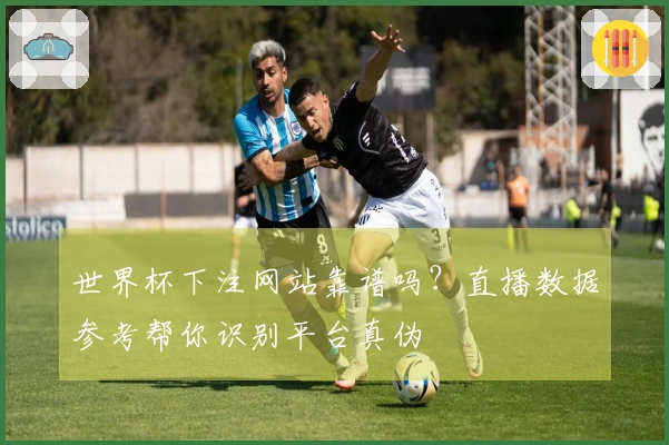 世界杯下注网站靠谱吗?直播数据参考帮你识别平台真伪