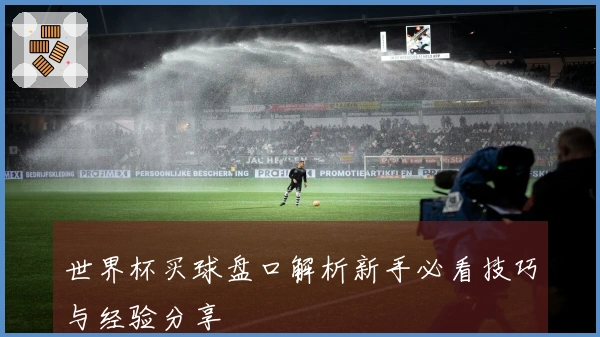 世界杯买球盘口解析新手必看技巧与经验分享