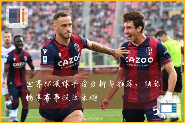 世界杯滚球平台分析与推荐，助你畅享赛事投注乐趣