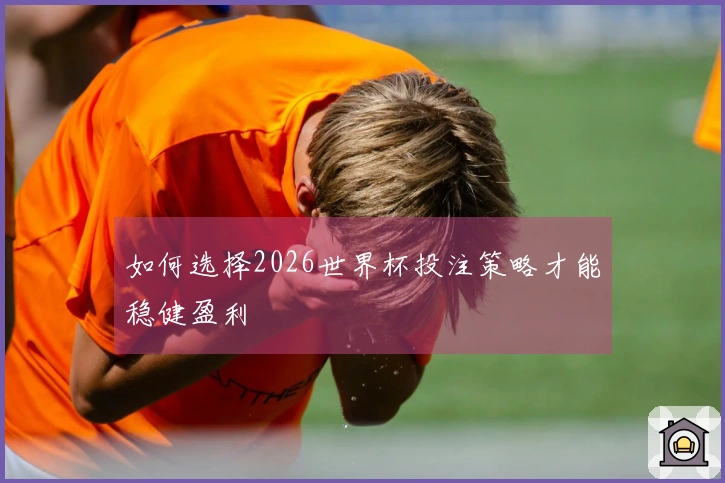 如何选择2026世界杯投注策略才能稳健盈利