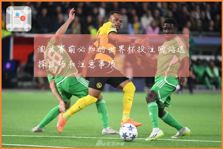 淘汰赛前必知的世界杯投注网站选择技巧和注意事项
