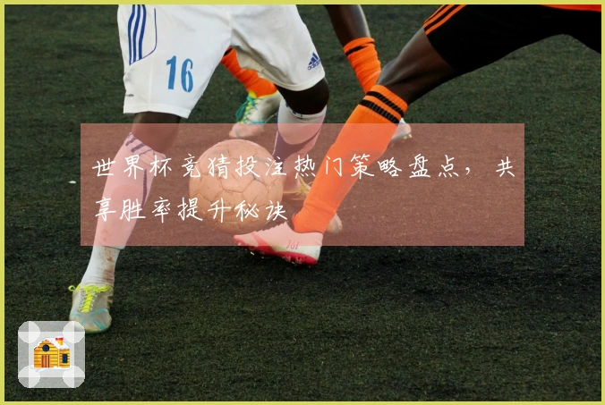 世界杯竞猜投注热门策略盘点，共享胜率提升秘诀