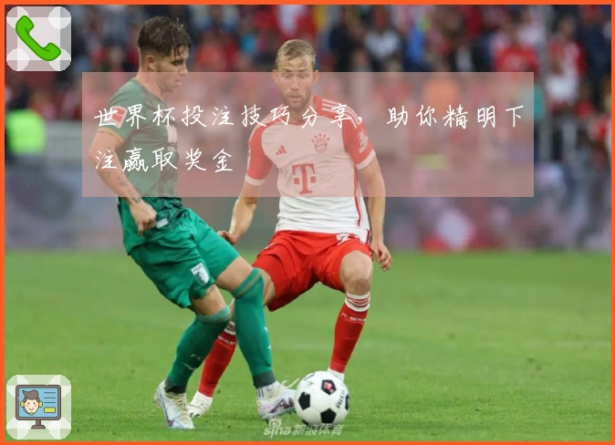 世界杯投注技巧分享，助你精明下注赢取奖金