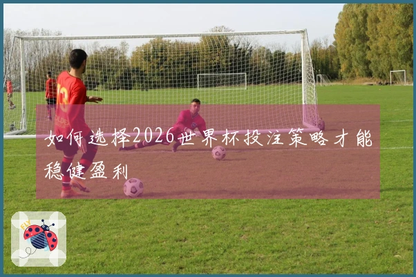 如何选择2026世界杯投注策略才能稳健盈利